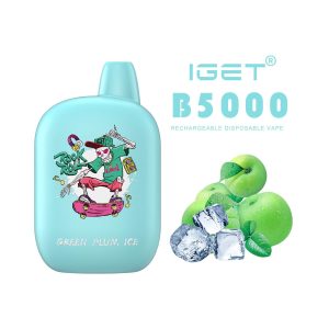 iGET b5000 - Green Plum Ice - Disposable Vape - Australia TheVapeBar