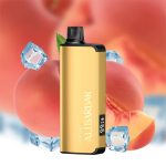ALIBARBAR INGOT 9000 PUFF - PEACH ICE