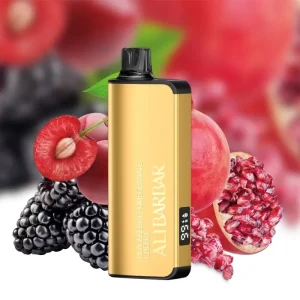 ALIBARBAR INGOT 9000 PUFF - BLACKBERRY POMEGRANATE CHERRY