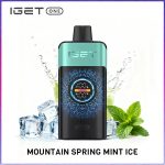 IGET ONE 12000 PUFF - MOUNTAIN SPRING MINT