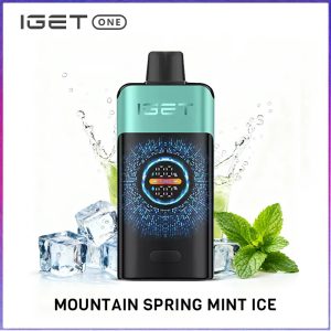 IGET ONE 12000 PUFF - MOUNTAIN SPRING MINT